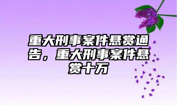 重大刑事案件懸賞通告，重大刑事案件懸賞十萬