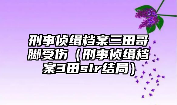 刑事偵緝檔案三田哥腳受傷（刑事偵緝檔案3田sir結(jié)局）