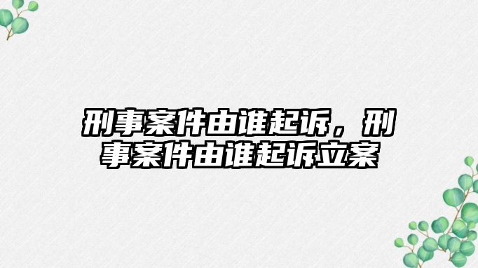 刑事案件由誰起訴，刑事案件由誰起訴立案