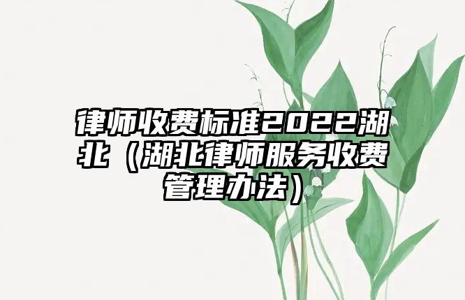 律師收費標準2022湖北（湖北律師服務收費管理辦法）