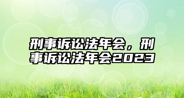 刑事訴訟法年會，刑事訴訟法年會2023