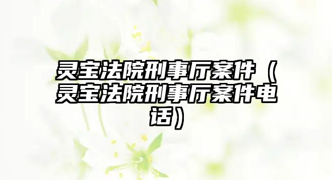 靈寶法院刑事廳案件（靈寶法院刑事廳案件電話）