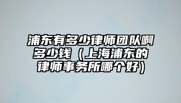 浦東有多少律師團隊啊多少錢（上海浦東的律師事務所哪個好）