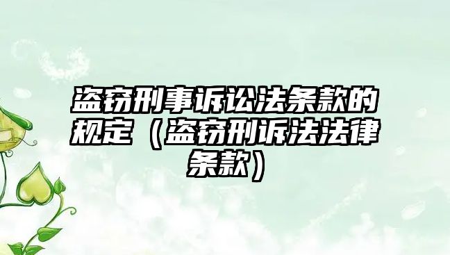 盜竊刑事訴訟法條款的規定（盜竊刑訴法法律條款）