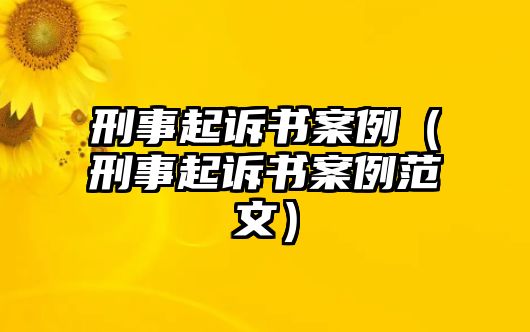 刑事起訴書案例（刑事起訴書案例范文）