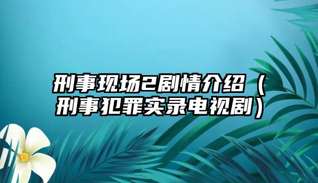 刑事現場2劇情介紹（刑事犯罪實錄電視劇）