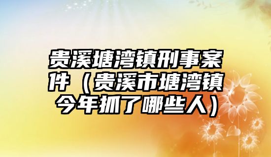 貴溪塘灣鎮刑事案件（貴溪市塘灣鎮今年抓了哪些人）