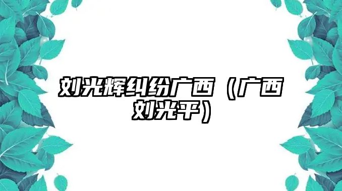 劉光輝糾紛廣西（廣西劉光平）