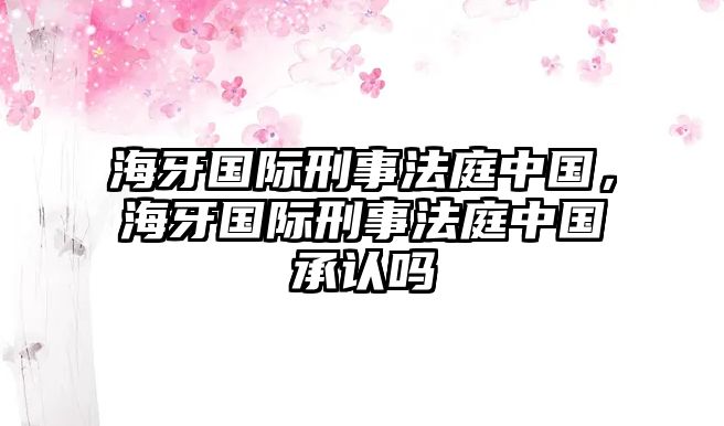 海牙國際刑事法庭中國，海牙國際刑事法庭中國承認嗎