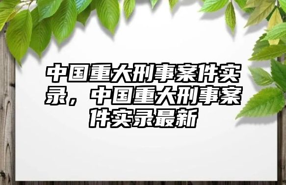 中國(guó)重大刑事案件實(shí)錄，中國(guó)重大刑事案件實(shí)錄最新