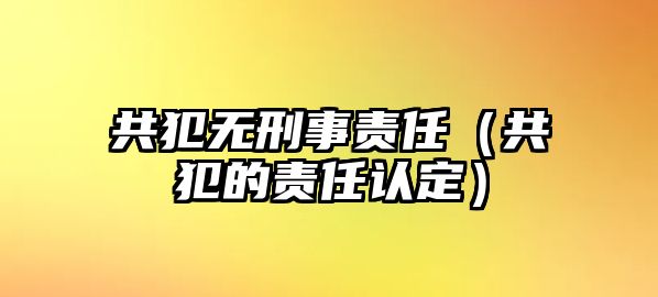 共犯無刑事責任（共犯的責任認定）