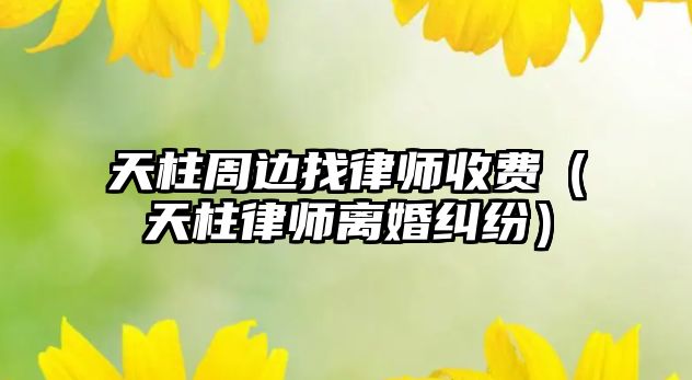 天柱周邊找律師收費（天柱律師離婚糾紛）