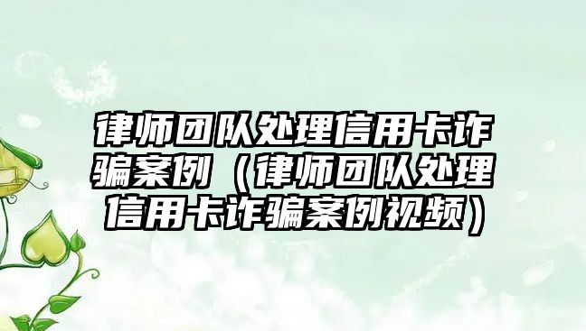 律師團隊處理信用卡詐騙案例（律師團隊處理信用卡詐騙案例視頻）