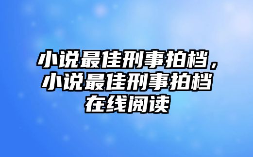 小說(shuō)最佳刑事拍檔，小說(shuō)最佳刑事拍檔在線閱讀