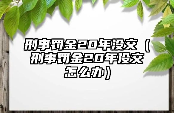 刑事罰金20年沒交（刑事罰金20年沒交怎么辦）