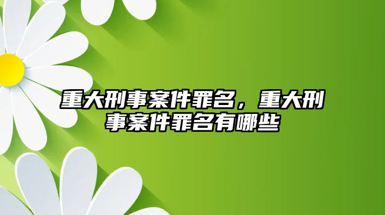 重大刑事案件罪名，重大刑事案件罪名有哪些