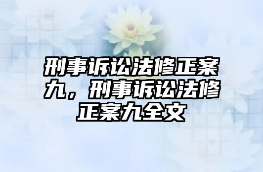 刑事訴訟法修正案九，刑事訴訟法修正案九全文