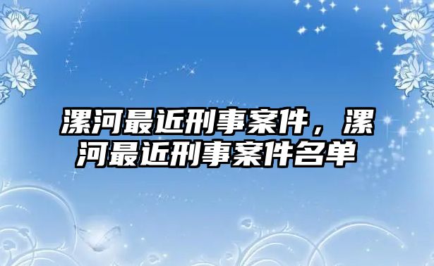 漯河最近刑事案件，漯河最近刑事案件名單