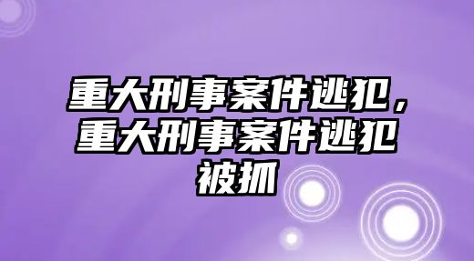 重大刑事案件逃犯，重大刑事案件逃犯被抓