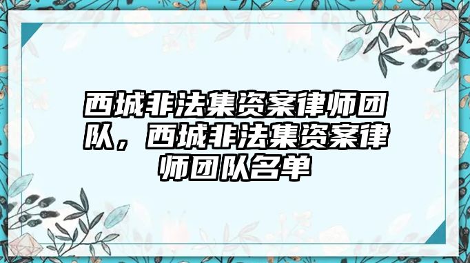 西城非法集資案律師團隊，西城非法集資案律師團隊名單