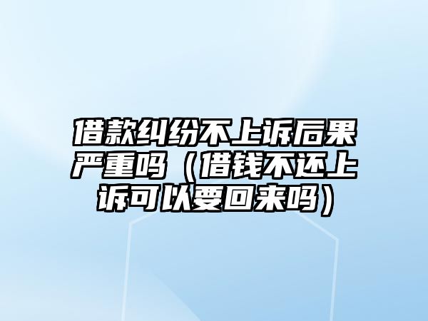 借款糾紛不上訴后果嚴重嗎（借錢不還上訴可以要回來嗎）