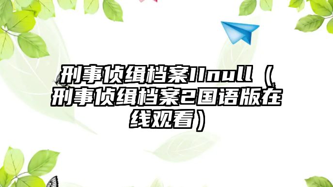 刑事偵緝檔案IInull（刑事偵緝檔案2國語版在線觀看）