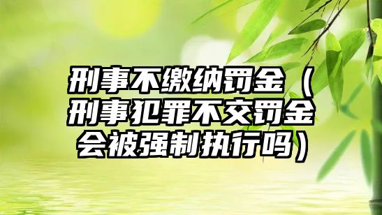 刑事不繳納罰金（刑事犯罪不交罰金會被強制執行嗎）