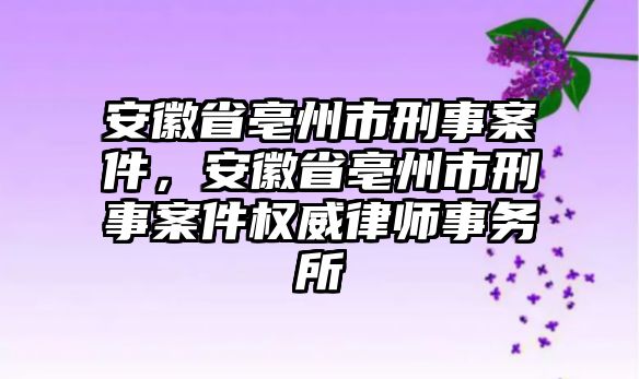 安徽省亳州市刑事案件，安徽省亳州市刑事案件權威律師事務所