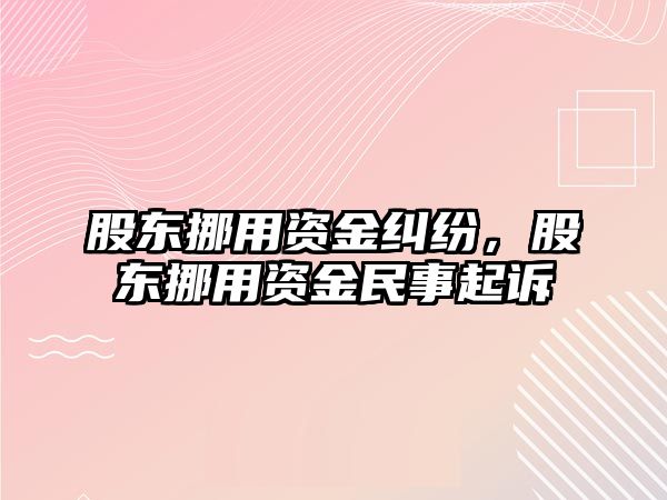 股東挪用資金糾紛，股東挪用資金民事起訴