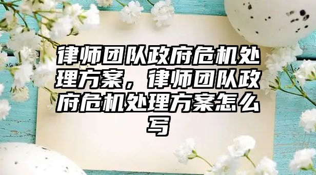 律師團隊政府危機處理方案，律師團隊政府危機處理方案怎么寫