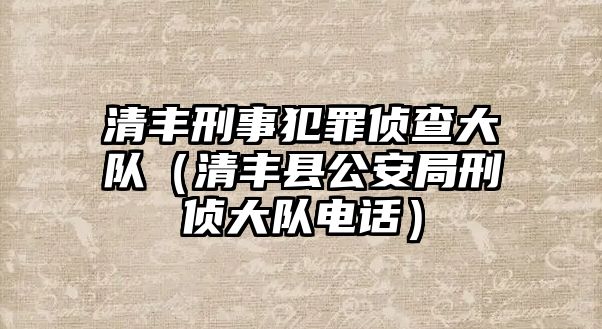 清豐刑事犯罪偵查大隊（清豐縣公安局刑偵大隊電話）