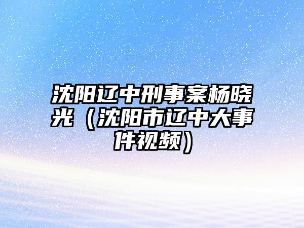 沈陽遼中刑事案楊曉光（沈陽市遼中大事件視頻）