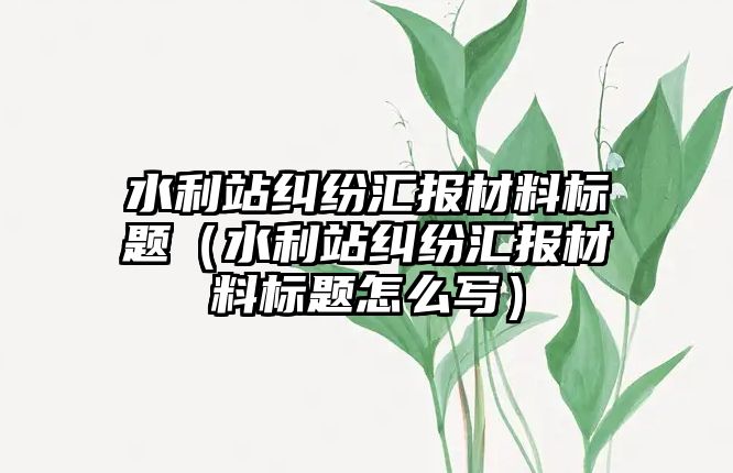 水利站糾紛匯報材料標題（水利站糾紛匯報材料標題怎么寫）