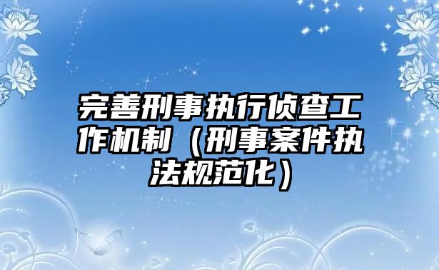 完善刑事執行偵查工作機制（刑事案件執法規范化）