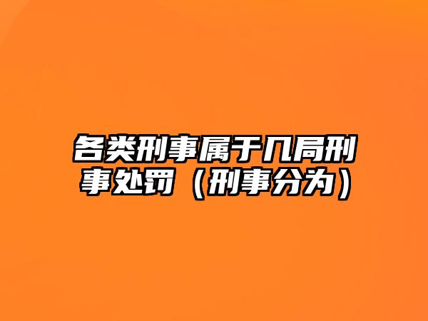 各類刑事屬于幾局刑事處罰（刑事分為）