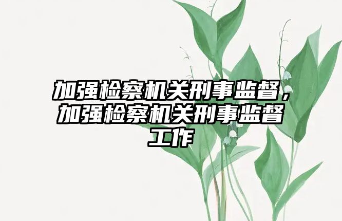 加強檢察機關刑事監督，加強檢察機關刑事監督工作