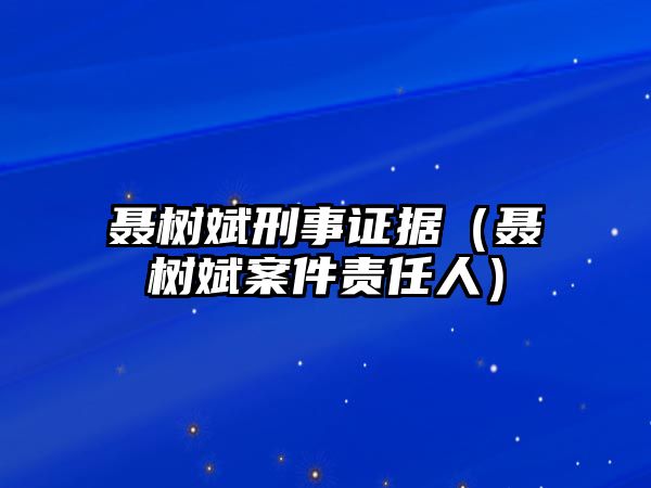 聶樹斌刑事證據（聶樹斌案件責任人）