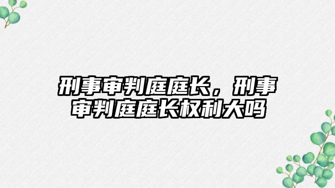 刑事審判庭庭長，刑事審判庭庭長權利大嗎