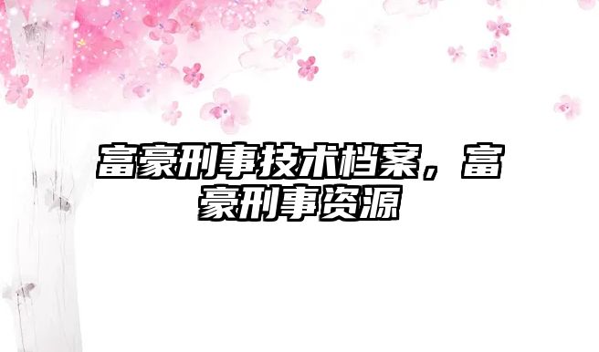 富豪刑事技術檔案，富豪刑事資源