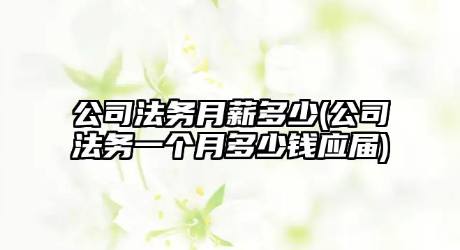 公司法務月薪多少(公司法務一個月多少錢應屆)