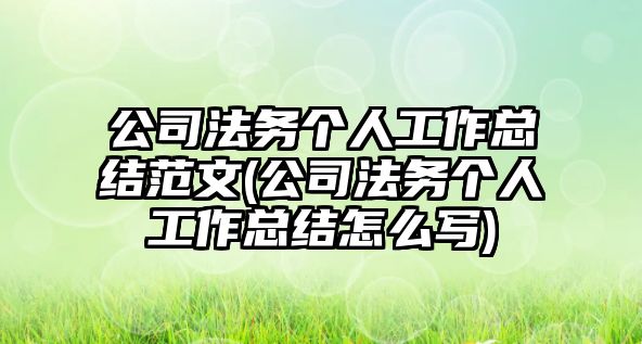 公司法務個人工作總結范文(公司法務個人工作總結怎么寫)