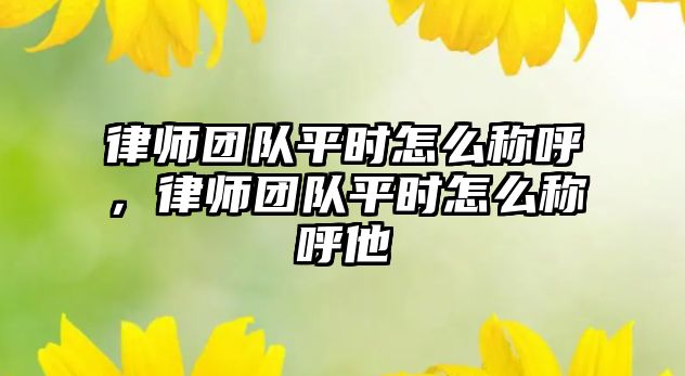 律師團隊平時怎么稱呼，律師團隊平時怎么稱呼他