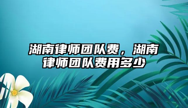 湖南律師團隊費，湖南律師團隊費用多少