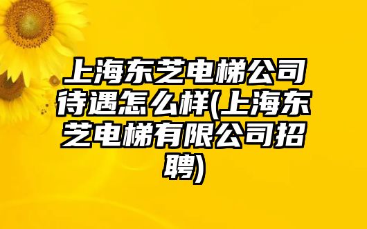 上海東芝電梯公司待遇怎么樣(上海東芝電梯有限公司招聘)