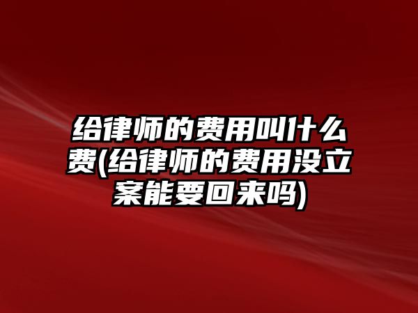 給律師的費用叫什么費(給律師的費用沒立案能要回來嗎)