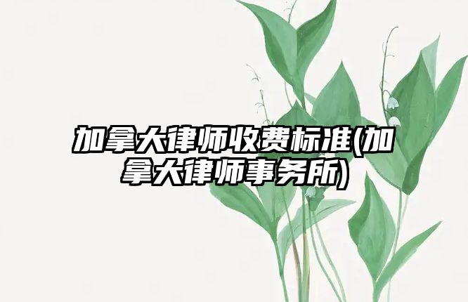 加拿大律師收費標準(加拿大律師事務所)