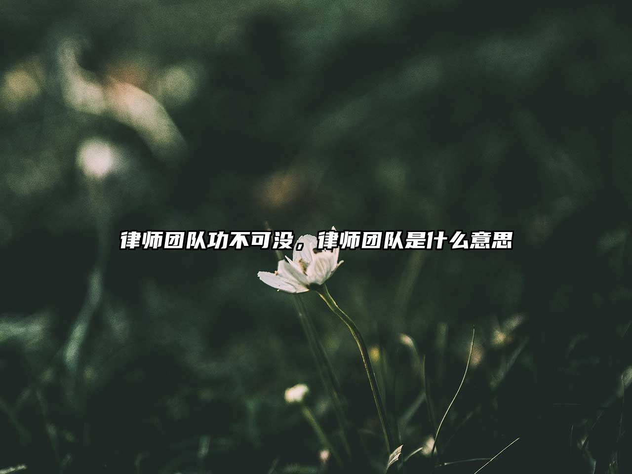 律師團(tuán)隊(duì)功不可沒(méi)，律師團(tuán)隊(duì)是什么意思