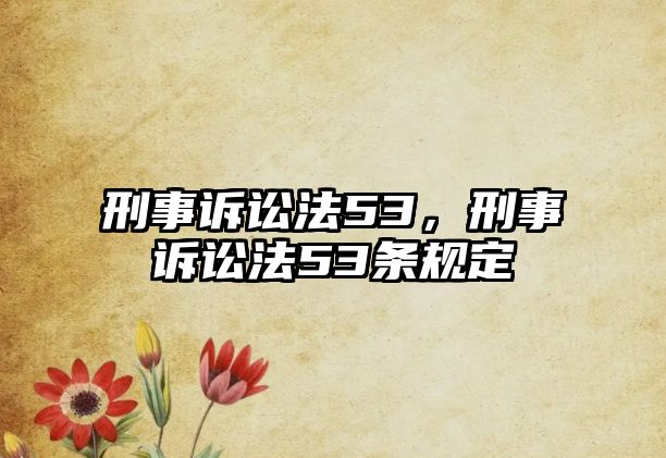 刑事訴訟法53，刑事訴訟法53條規(guī)定