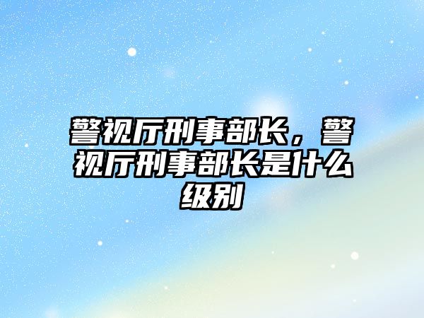 警視廳刑事部長，警視廳刑事部長是什么級別