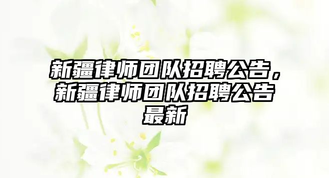 新疆律師團隊招聘公告，新疆律師團隊招聘公告最新